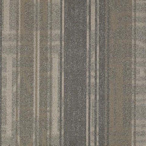 Shaw Philadelphia Carpet Tile Thinkers J0191